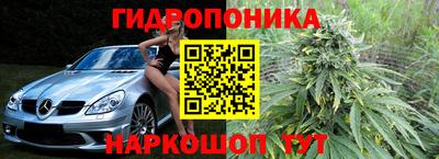 прущая мука Гай