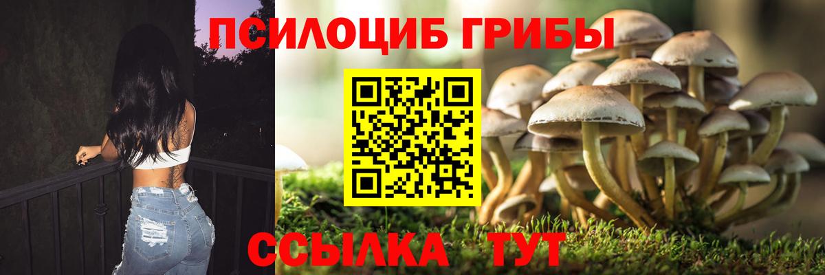 Галлюциногенные грибы MAGIC MUSHROOMS Лысьва